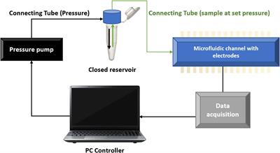 Blood Rheological Characterization of β-Thalassemia Trait and Iron Deficiency Anemia Using Front Microrheometry